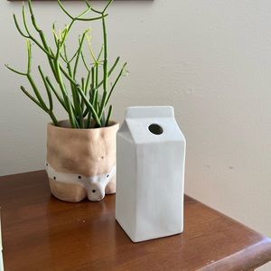 Colin Ross Design x CB2 Milk Carton single stem vase